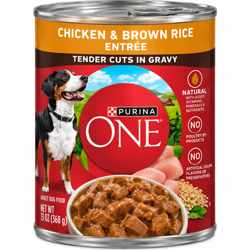 Purina ONE Tender Cuts in Gravy – Chicken & Brown Rice Entrée, 13 oz