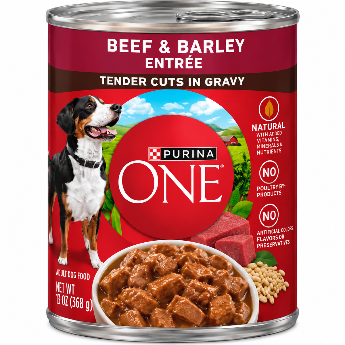 Purina ONE Tender Cuts in Gravy – Beef & Barley Entrée, 13 oz